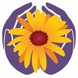 Positive Touch Medicine
