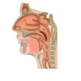 Daniel Igor Branovan, MD, FACS