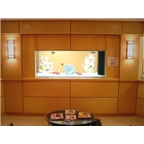 Jackson Dermatology, PLLC