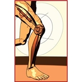 Wilson Orthopedics