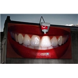 Star Dental Smiles, P.C.