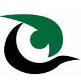 Wildwood Eyecare