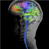 NYC Medical & Neurological Offices, PC