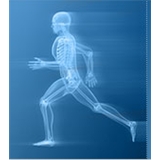 Total Orthopedics: PT for the Hoboken Professional