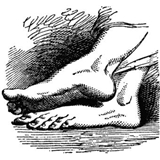 NewYorkFootExperts.com