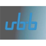 Urban Brain and Body