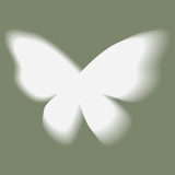 practice image