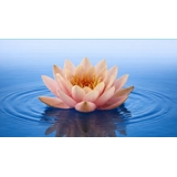practice image