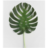 Refresh Psychotherapy NYC