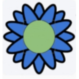 practice image