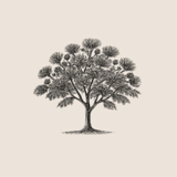practice image